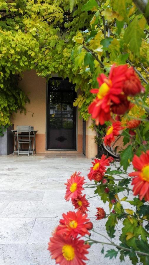 Chambres D'Hotes La Chrysalide Loriol-du-Comtat ภายนอก รูปภาพ
